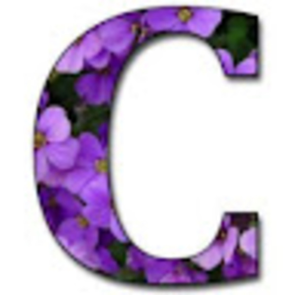 cltieds21